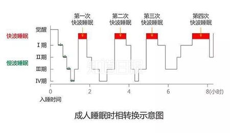 睡个好觉方法,如何提升睡眠质量每晚睡个好觉
