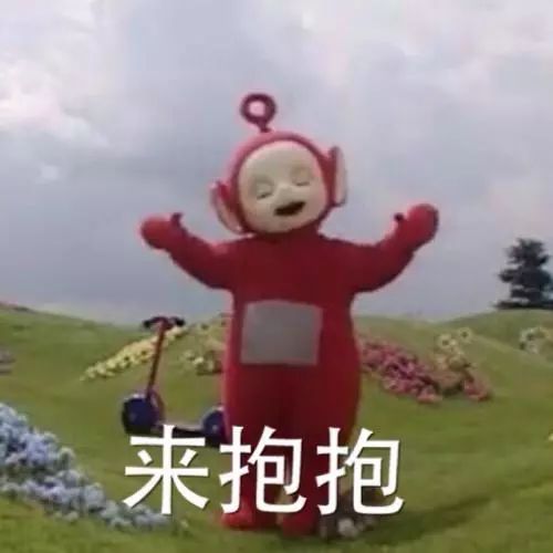 一只小猪猪在国外励志故事,小猪猪励志故事