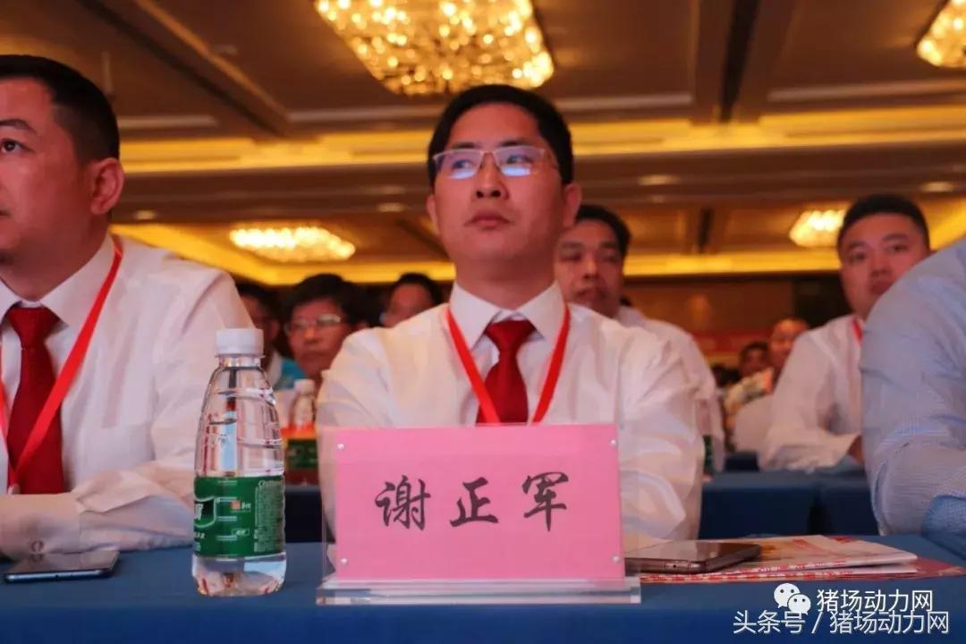 双胞胎饲料产能,双胞胎饲料销量