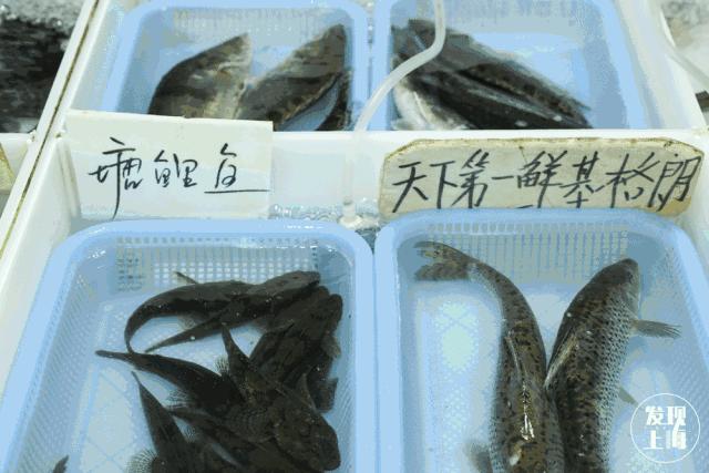 90多年前的上海菜市场,上海浦东新区最大的菜市场