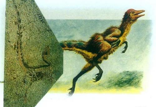 世界上最强的十名恐龙是什么恐龙,恐龙世界最强大的恐龙是什么恐龙