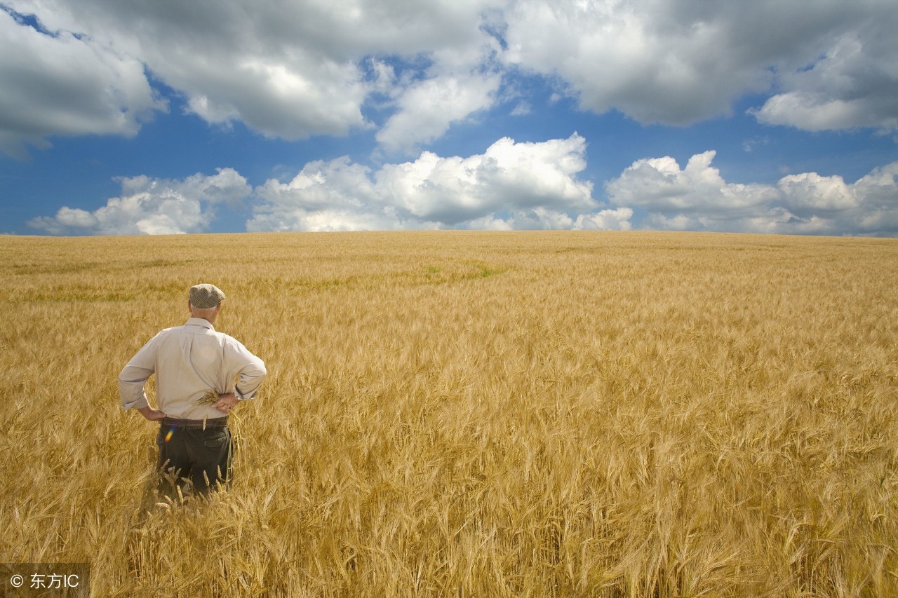 农村创业项目成功的两个必备条件,农民缺钱怎么办