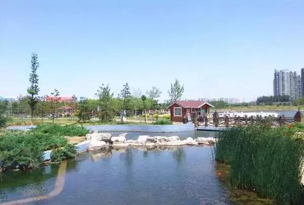 春分节气的民间习俗及养生技巧,春分节气的饮食