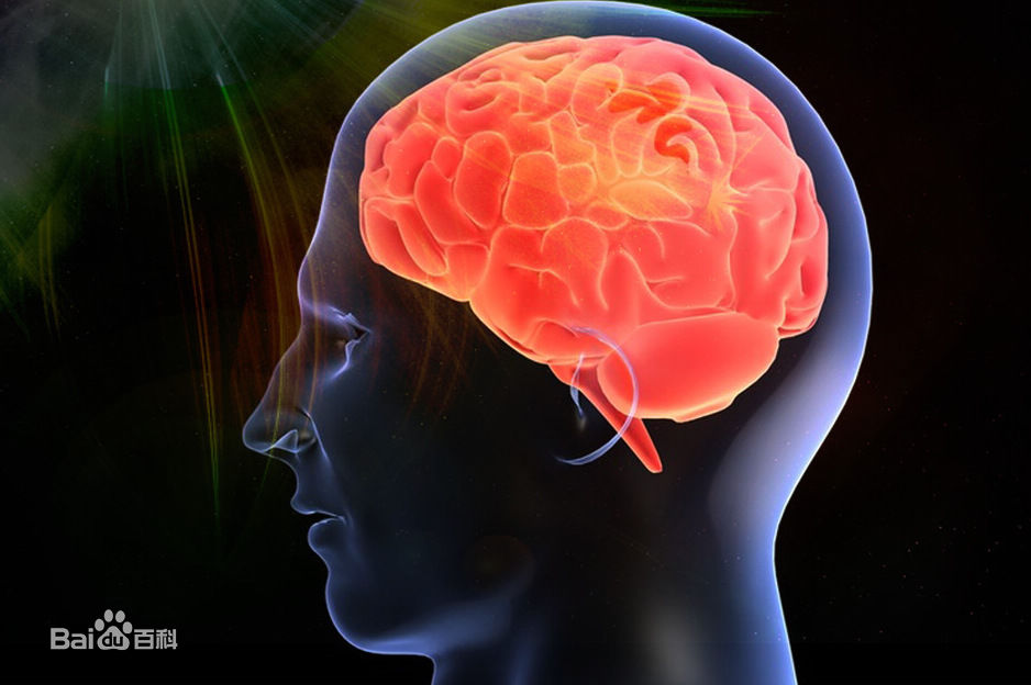 智商情商是什么意思,聪明指的是智商还是情商