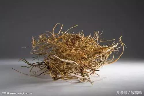 种植中药材致富,农村种植致富项目中药材