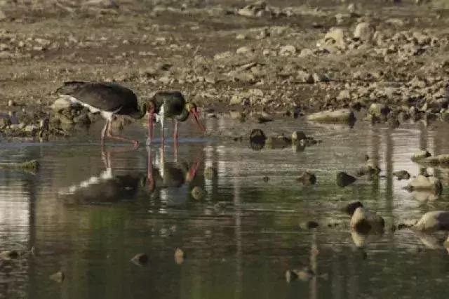 水映京城：千年古都水之梦