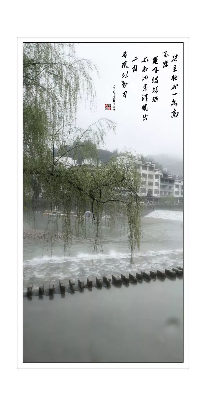 西浦村状元叫什么,廊桥水乡西浦村视频