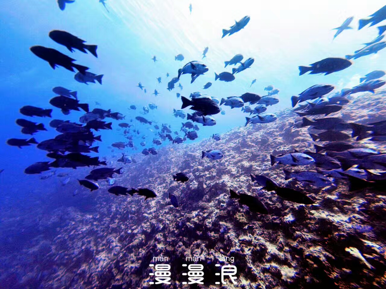 经常熬夜的人！一定要来帕劳看看！用帕劳蓝治愈你的失眠焦虑！