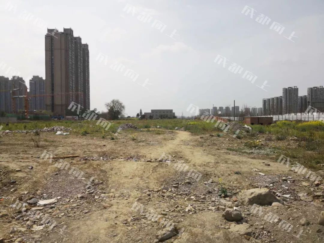 大源核心商务区,大源cbd核心区夜景