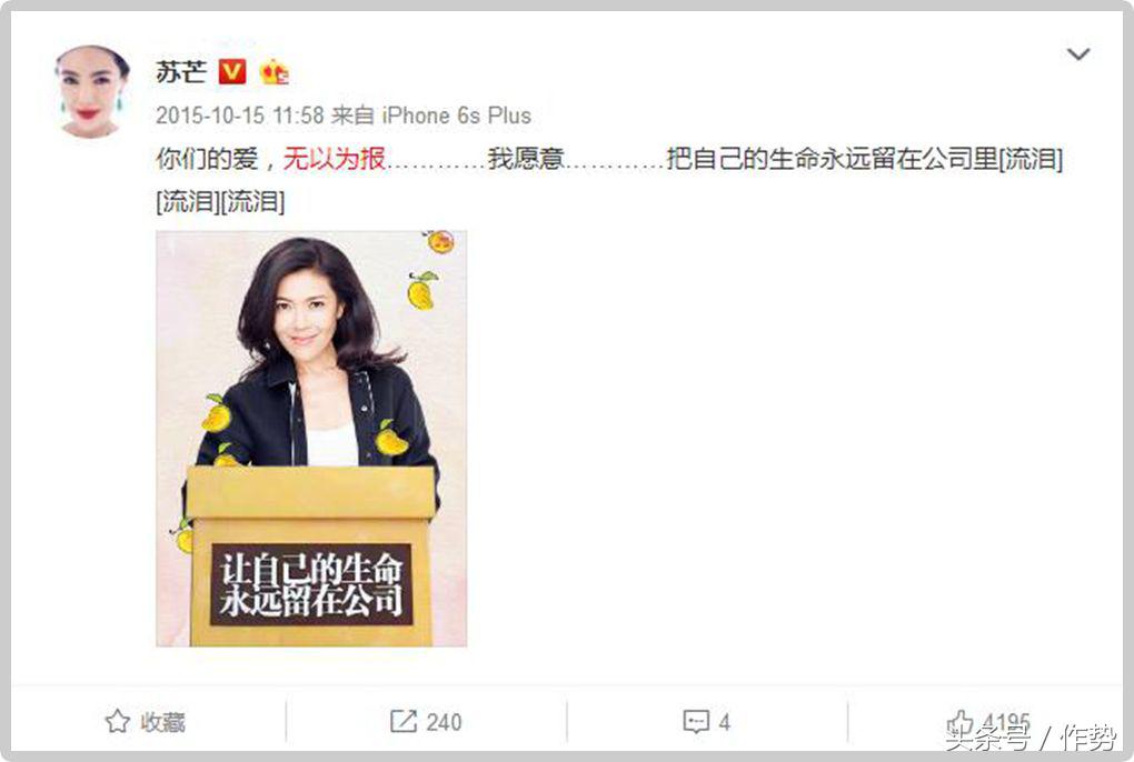 时尚女魔头苏芒辞职,时尚的女魔头苏芒