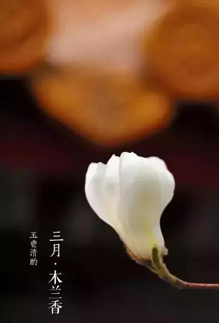 虎林诗人协会古体诗词专辑（一）《春天感怀》