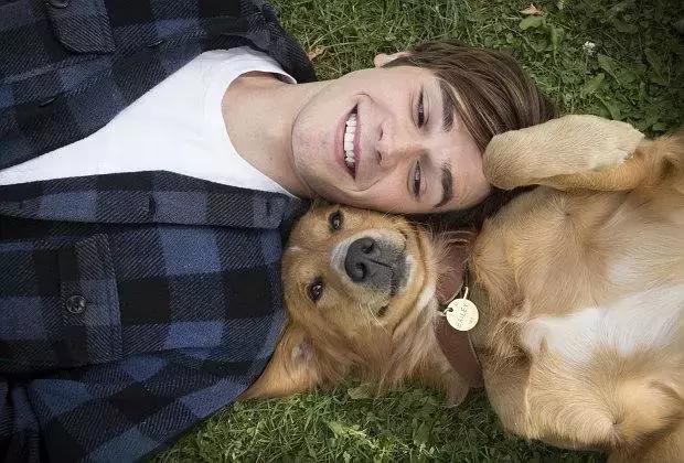 十大经典狗片排行榜国外,评价最高的十部关于狗的电影