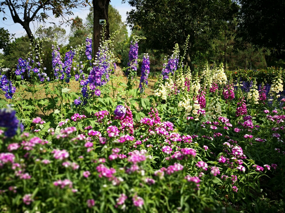 海珠湖国家湿地公园钓鱼,海珠湖国家湿地公园开放时间