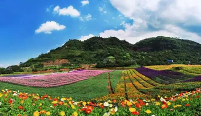 世界500强投资了300多家,泸州世界500强有哪些