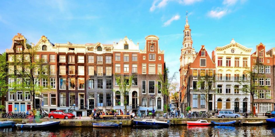 荷兰郁金香风光,维也纳冬天的花