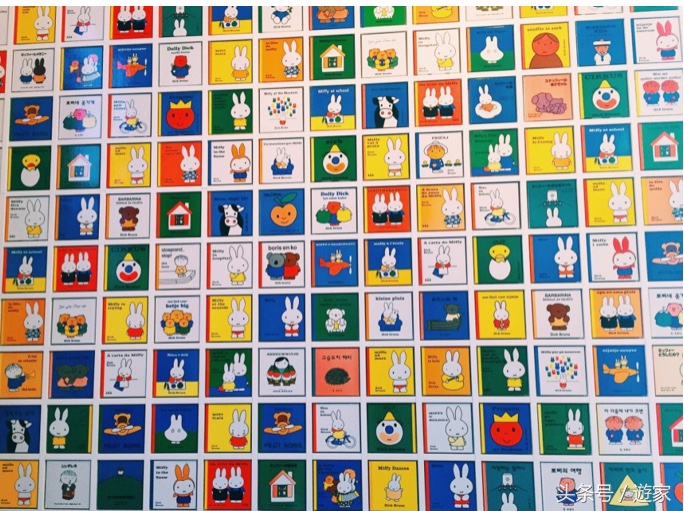 荷兰郁金香风光,维也纳冬天的花