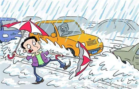 看了交通规则的感想,为什么有那么多奇葩的交规