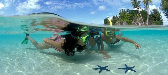 全球热门海岛选岛攻略！你最中意哪个？