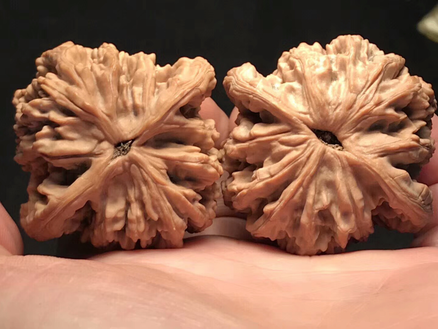 文玩核桃上油后变黄怎么办,文玩核桃上油发黑怎么处理