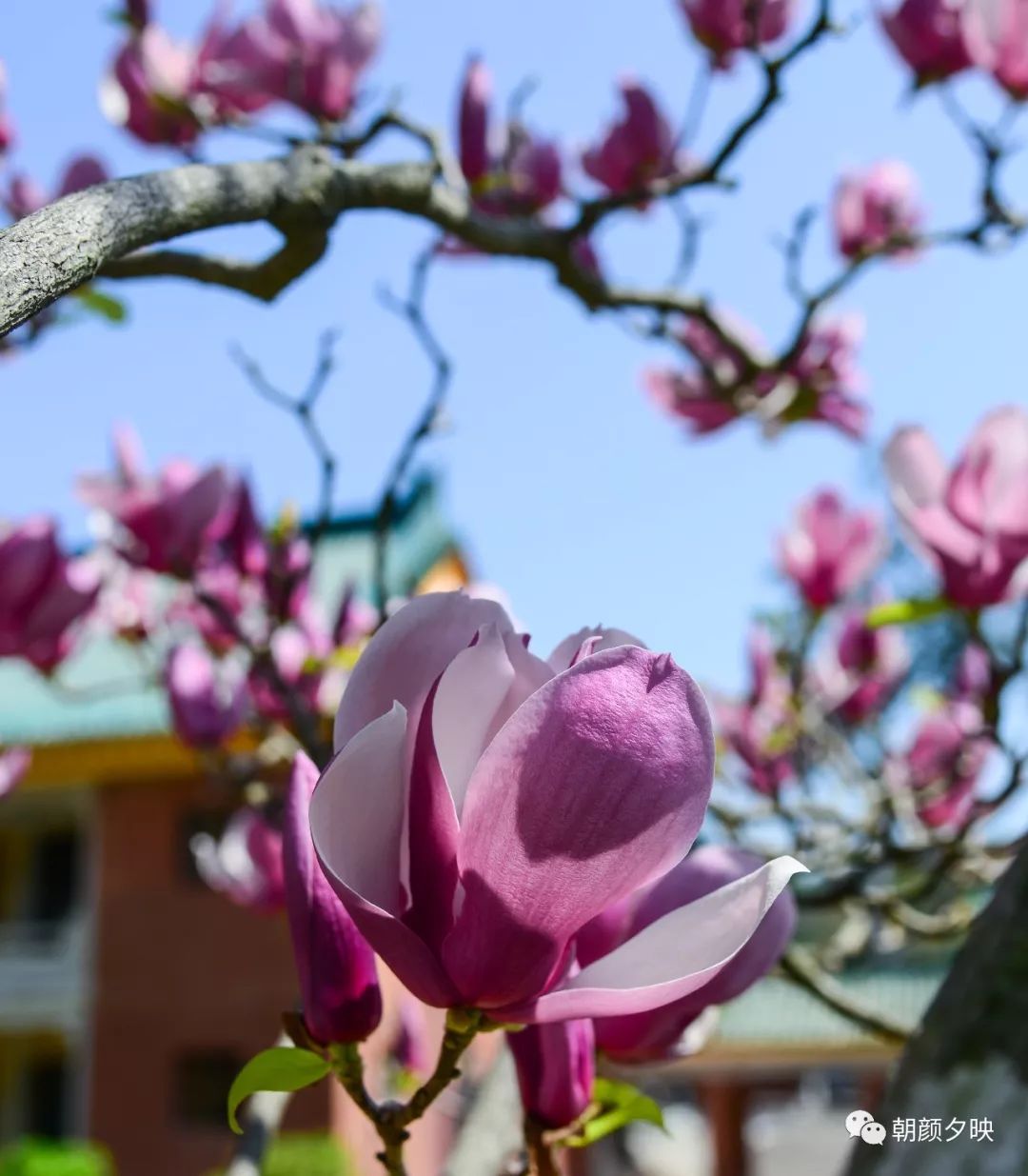 中山纪念中学100周年校庆,中山纪念中学80周年校庆