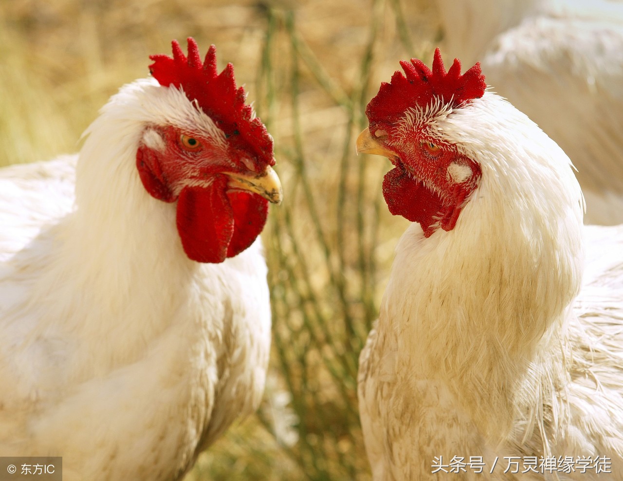 不为难别人是最好的教养,一个人最好的教养不是对外人