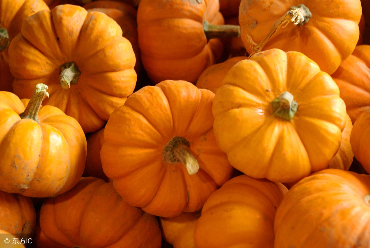 南瓜籽油能炒菜吗,南瓜子油怎样食用效果好