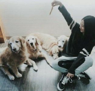 细数喜欢狗狗的女生的7个好处
