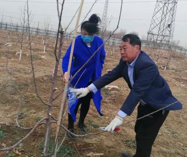 现代果业老师风雨中指导河北烟富8（神富一号）栽植户