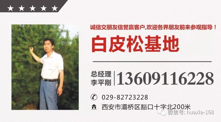 每株苗木运费,苗木运费在苗木价格基础上浮