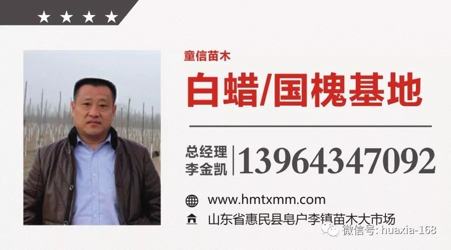 每株苗木运费,苗木运费在苗木价格基础上浮