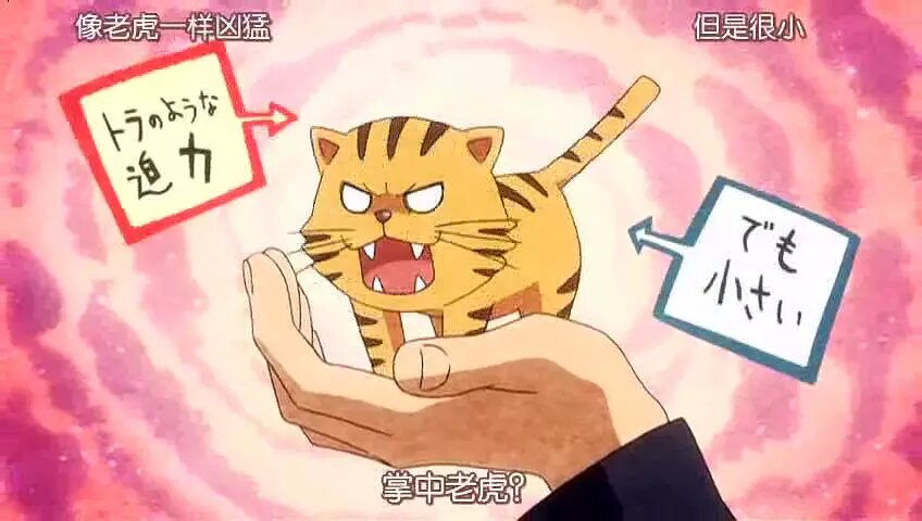 CG娘动漫测评——龙与虎：青春是冒着酸甜气泡的苏打水