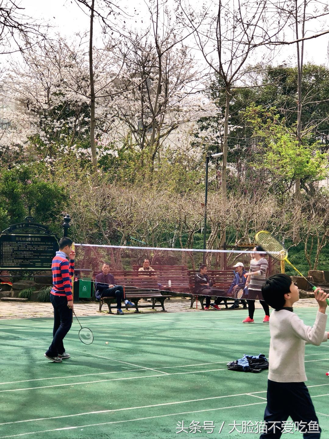 上海都市频道我和春天有个约会,与春天来个最美的约会