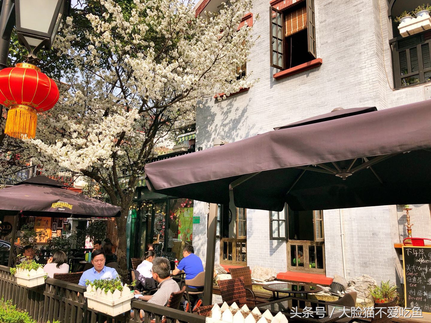 上海都市频道我和春天有个约会,与春天来个最美的约会