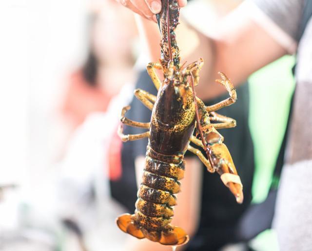 黑妹胖胖旅游记,三亚胖小六5天4晚自由行团报价