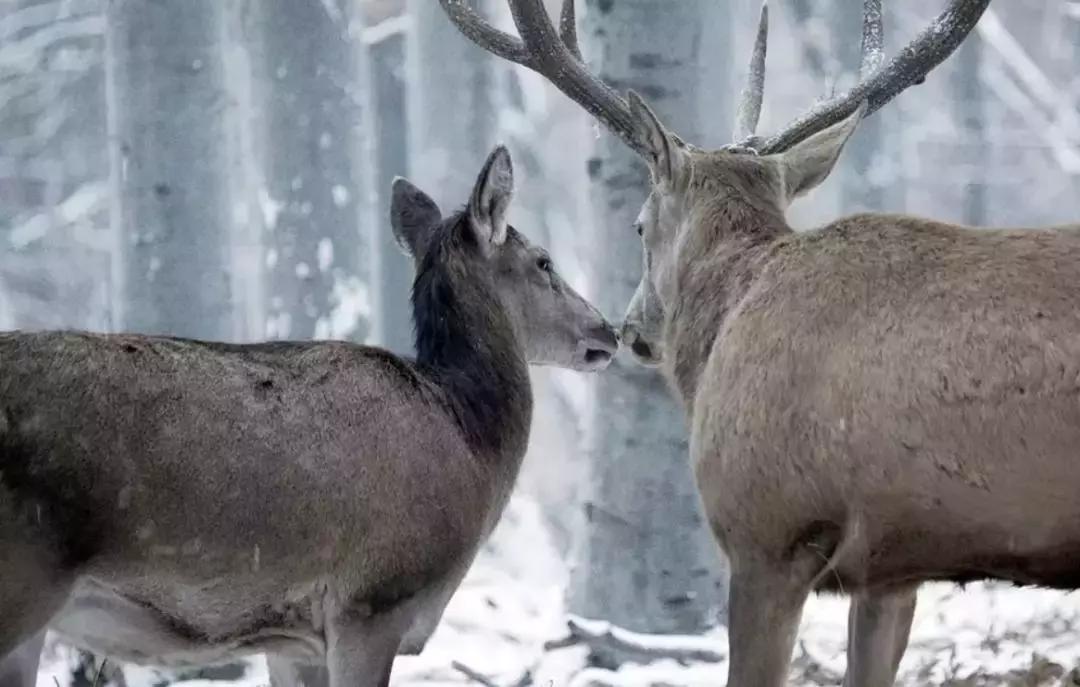 一部真正血腥的电影,这部电影残酷到让人不忍看第二遍