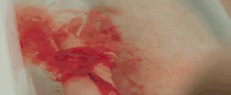 一部真正血腥的电影,这部电影残酷到让人不忍看第二遍