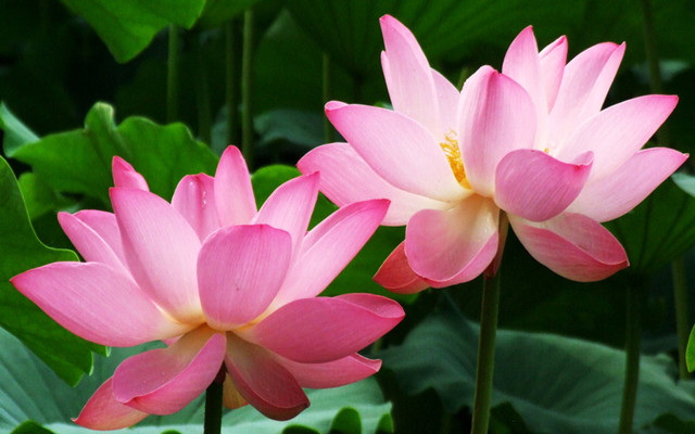 测试自己名字适合的数字,测自己名字的凶吉