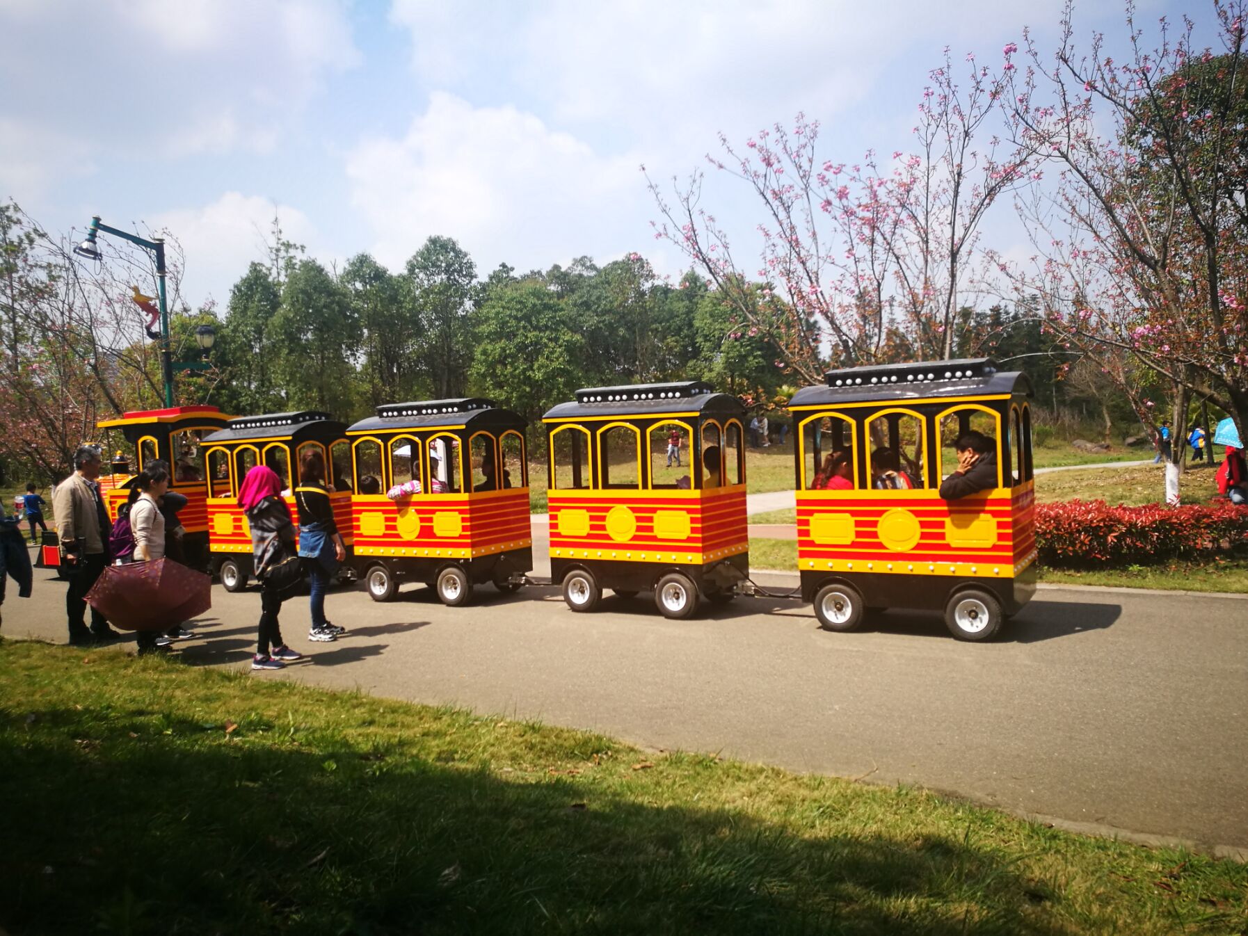 青白江凤凰湖樱花门票多少钱,青白江凤凰湖看樱花