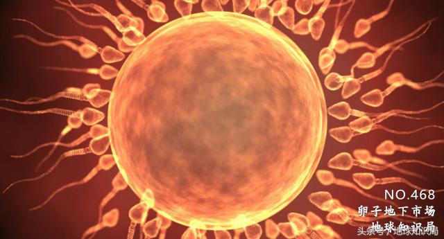 为什么有这么多女大学生热衷于做这件事？地球知识局