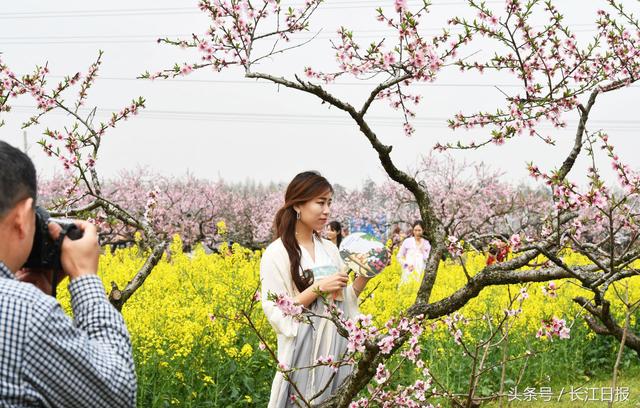 武汉又有人山人海的景象,武汉春节各地景区人山人海