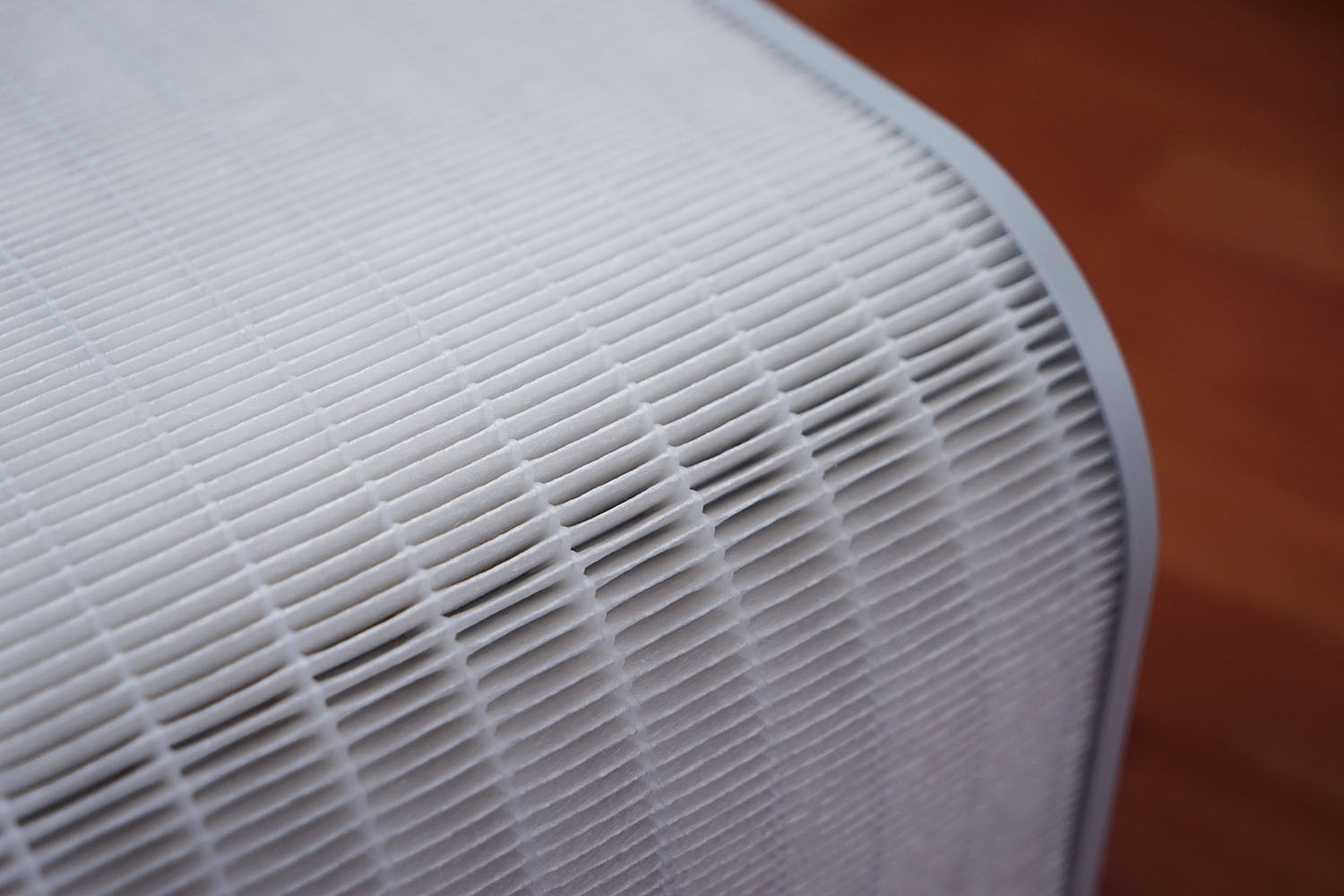 空气净化器除宠物屎味吗,空气净化器能去除宠物异味吗