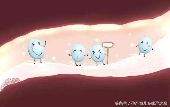 拉肚子益生菌停么,拉肚子湿疹