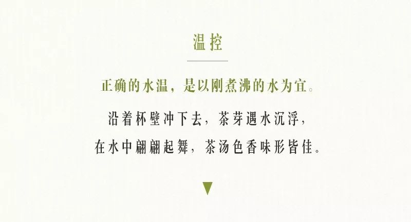 四季春茶的正确冲泡方法,春茶冲泡常识大全