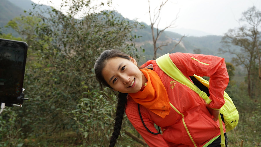古树普洱茶价格怎么差这么多,古树普洱茶价格怎么差这么多呢