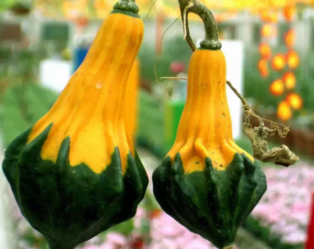 广东将建滨海景观公路路线图,广东未来第一长海滨公路