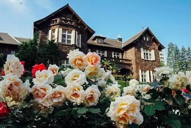 东京两日游赏樱花攻略,去东京赏樱花