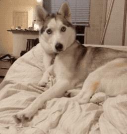 淘宝标题优化免费软件,淘宝搜索关键词优化办法