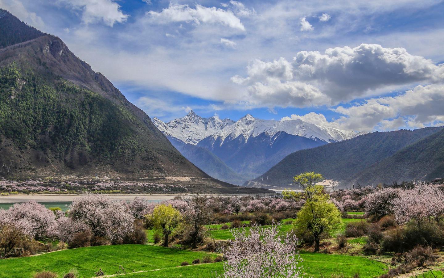 泸州的桃花盛花期,泸州桃花梨花