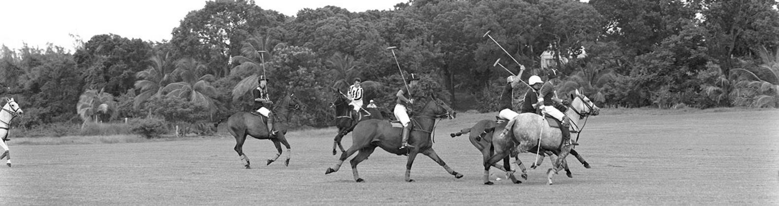 你竟然没听说过预科风？哈佛高材生都在穿的风格确定不了解一下？