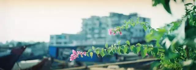 真正的厦门是什么样子,真实的厦门怎么样